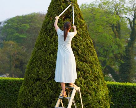 Ladder among hedges